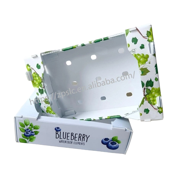 Sklopiva kutija od PP valovite plastike s ventilacijskim otvorima